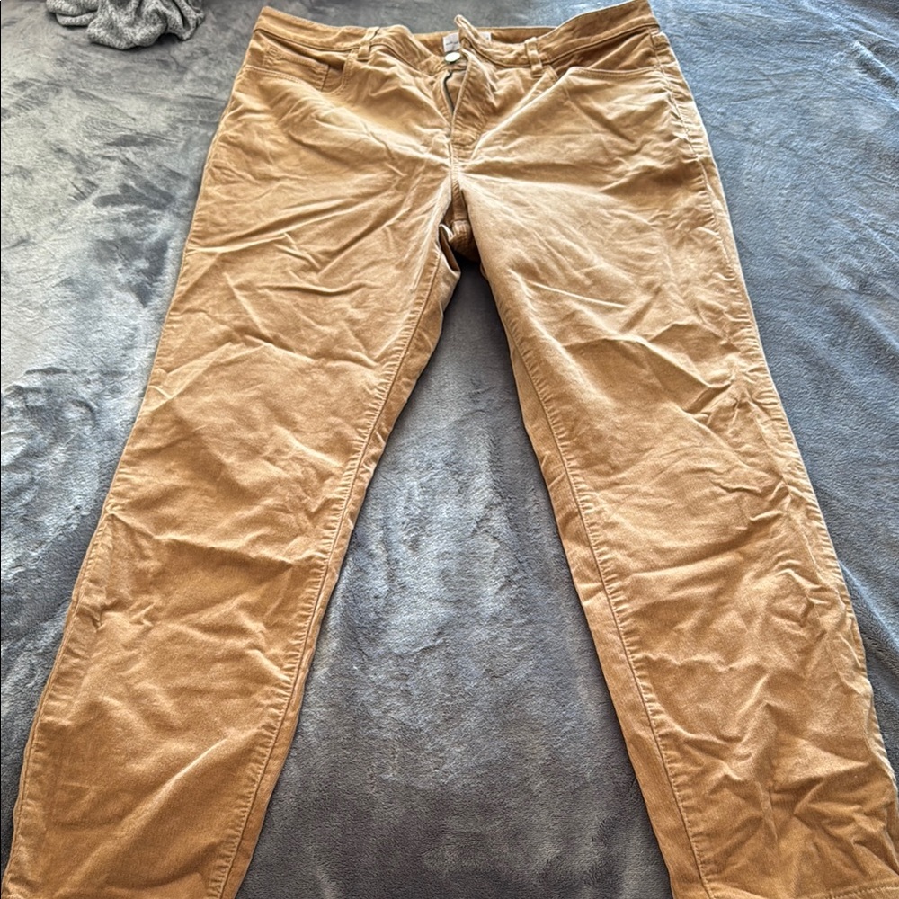 LOFT Corduroy Pants